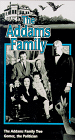 Family Tree and Politician