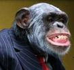 matty magoo's Avatar